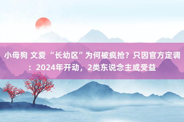 小母狗 文爱 “长幼区”为何被疯抢？只因官方定调：2024年开动，2类东说念主或受益