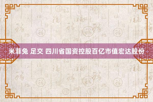 米菲兔 足交 四川省国资控股百亿市值宏达股份