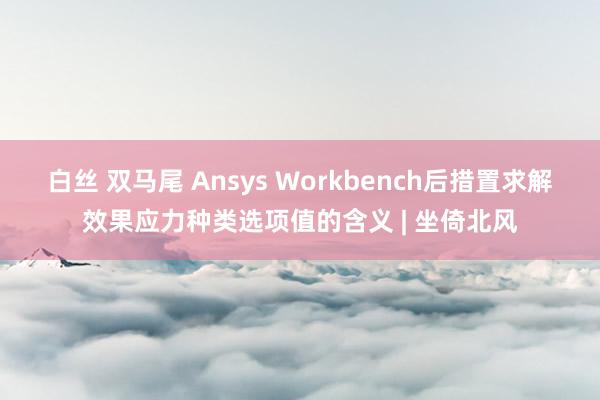 白丝 双马尾 Ansys Workbench后措置求解效果应力种类选项值的含义 | 坐倚北风