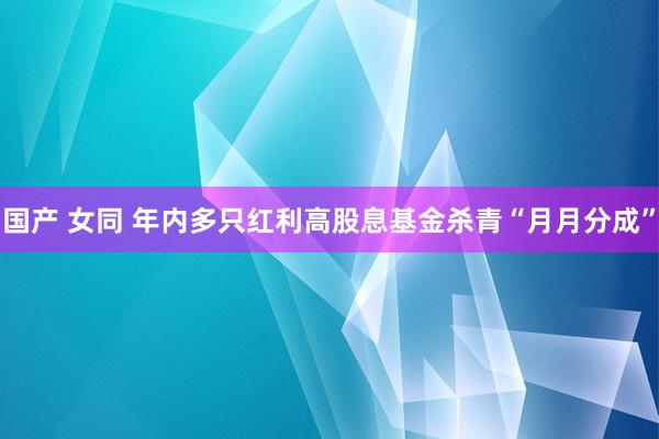 国产 女同 年内多只红利高股息基金杀青“月月分成”