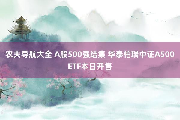 农夫导航大全 A股500强结集 华泰柏瑞中证A500ETF本日开售