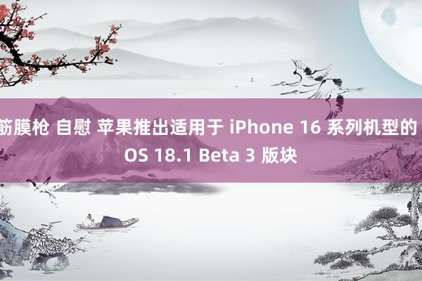 筋膜枪 自慰 苹果推出适用于 iPhone 16 系列机型的 iOS 18.1 Beta 3 版块