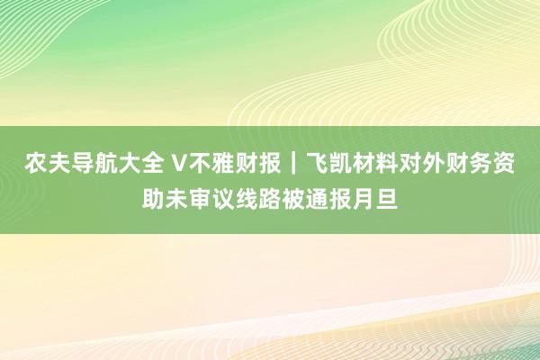 农夫导航大全 V不雅财报｜飞凯材料对外财务资助未审议线路被通报月旦