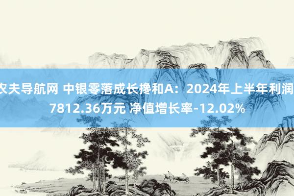 农夫导航网 中银零落成长搀和A：2024年上半年利润-7812.36万元 净值增长率-12.02%