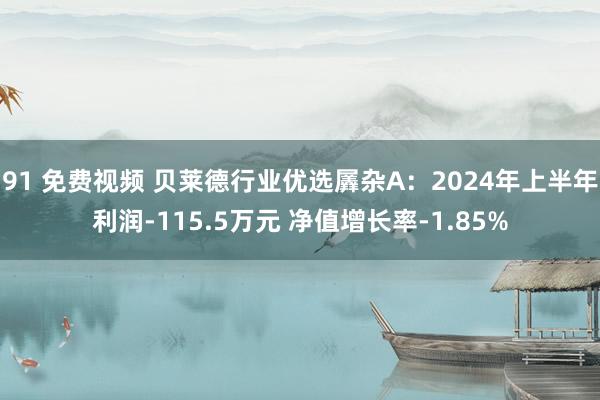 91 免费视频 贝莱德行业优选羼杂A：2024年上半年利润-115.5万元 净值增长率-1.85%