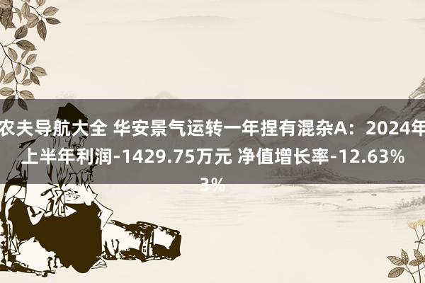 农夫导航大全 华安景气运转一年捏有混杂A：2024年上半年利润-1429.75万元 净值增长率-12.63%