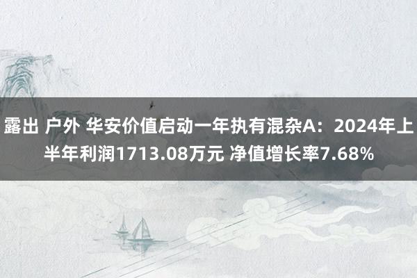 露出 户外 华安价值启动一年执有混杂A：2024年上半年利润1713.08万元 净值增长率7.68%