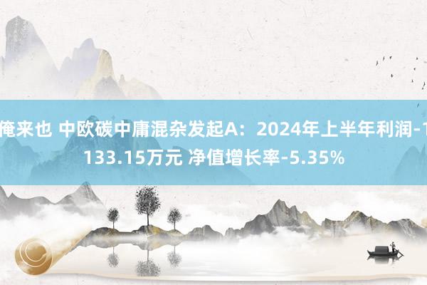 俺来也 中欧碳中庸混杂发起A：2024年上半年利润-1133.15万元 净值增长率-5.35%