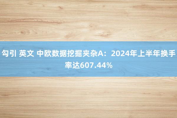 勾引 英文 中欧数据挖掘夹杂A：2024年上半年换手率达607.44%