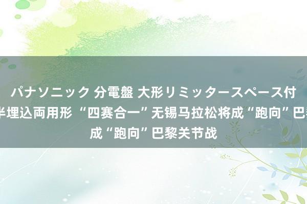 パナソニック 分電盤 大形リミッタースペース付 露出・半埋込両用形 “四赛合一”无锡马拉松将成“跑向”巴黎关节战