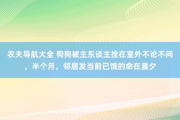 农夫导航大全 狗狗被主东谈主拴在室外不论不问，半个月，邻居发当前已饿的命在晨夕