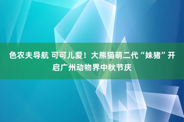 色农夫导航 可可儿爱！大熊猫萌二代“妹猪”开启广州动物界中秋节庆