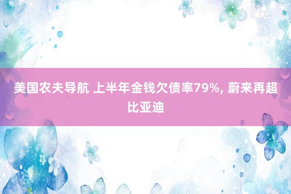 美国农夫导航 上半年金钱欠债率79%， 蔚来再超比亚迪