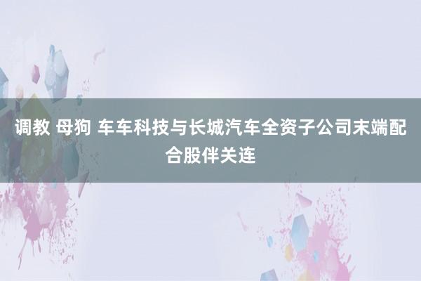 调教 母狗 车车科技与长城汽车全资子公司末端配合股伴关连