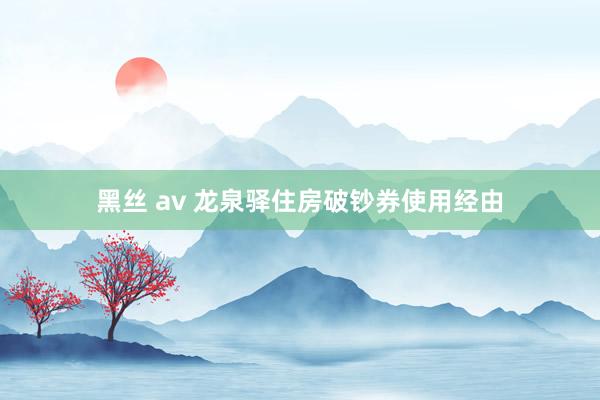 黑丝 av 龙泉驿住房破钞券使用经由