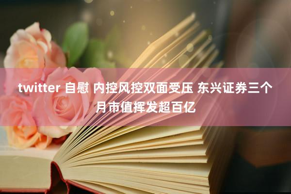 twitter 自慰 内控风控双面受压 东兴证券三个月市值挥发超百亿