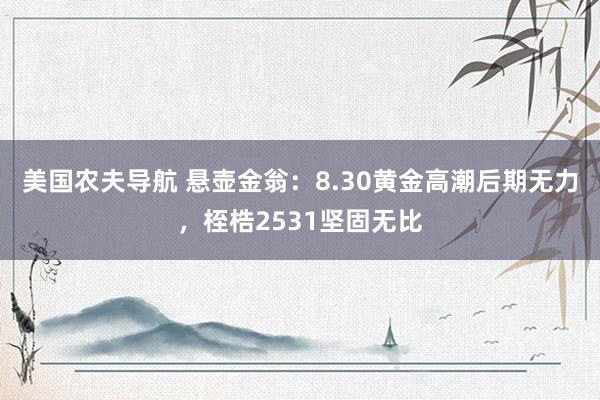 美国农夫导航 悬壶金翁：8.30黄金高潮后期无力，桎梏2531坚固无比