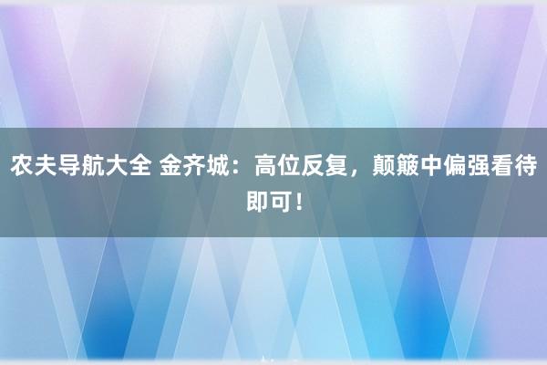 农夫导航大全 金齐城：高位反复，颠簸中偏强看待即可！