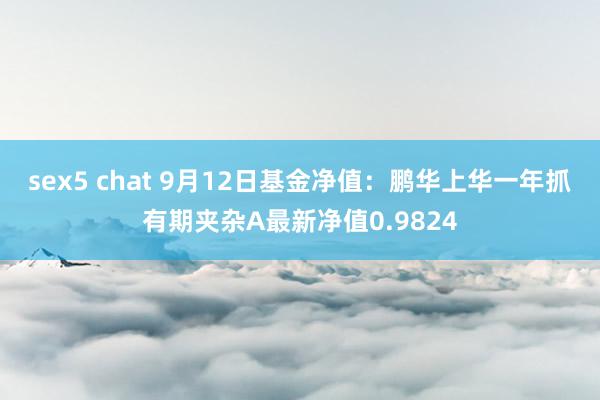 sex5 chat 9月12日基金净值：鹏华上华一年抓有期夹杂A最新净值0.9824