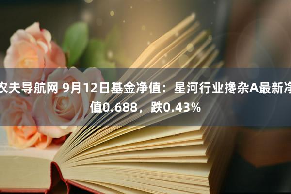 农夫导航网 9月12日基金净值：星河行业搀杂A最新净值0.688，跌0.43%