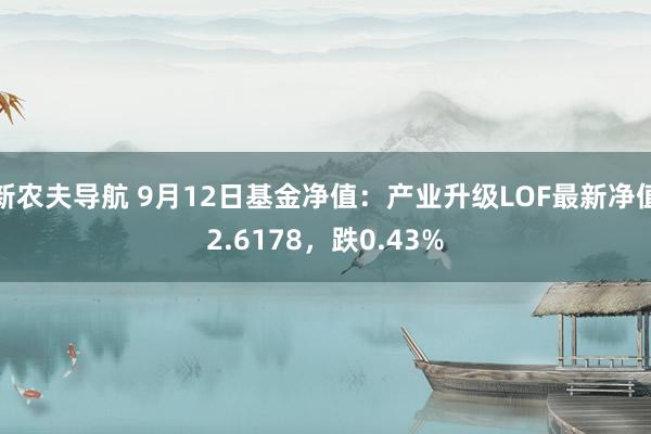 新农夫导航 9月12日基金净值：产业升级LOF最新净值2.6178，跌0.43%