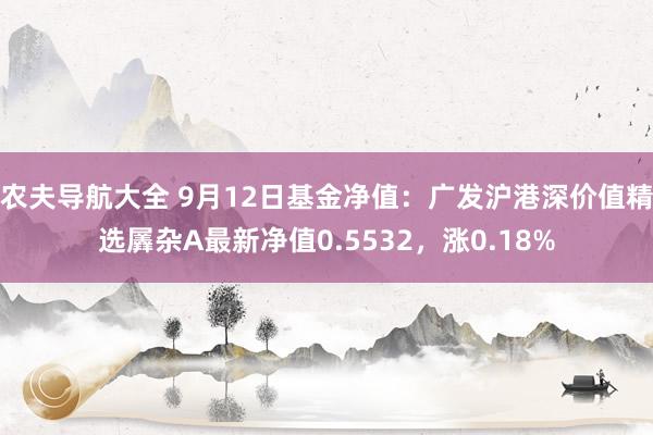 农夫导航大全 9月12日基金净值：广发沪港深价值精选羼杂A最新净值0.5532，涨0.18%