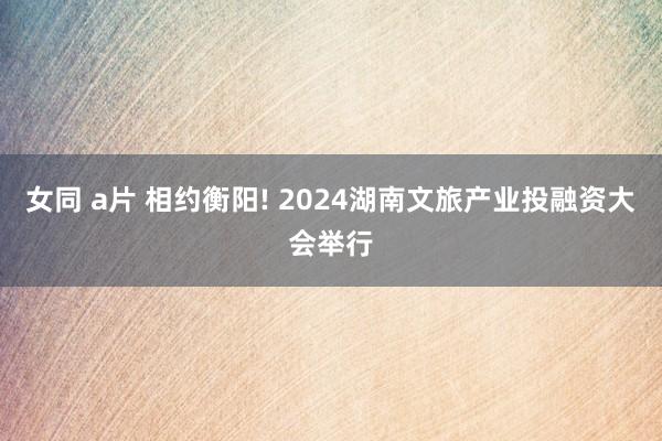 女同 a片 相约衡阳! 2024湖南文旅产业投融资大会举行