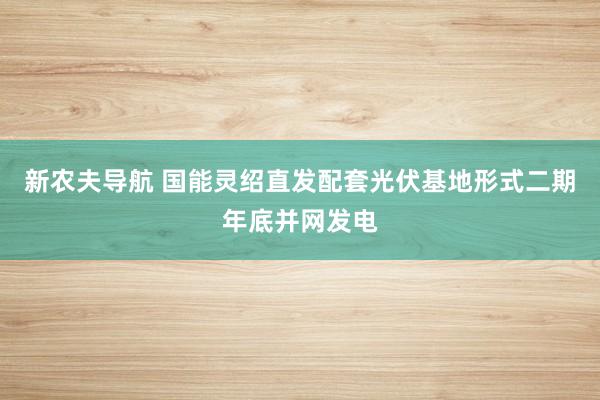 新农夫导航 国能灵绍直发配套光伏基地形式二期年底并网发电