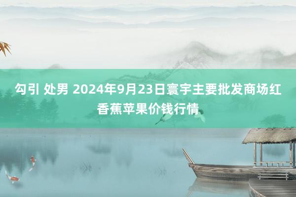 勾引 处男 2024年9月23日寰宇主要批发商场红香蕉苹果价钱行情