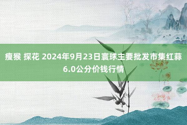 瘦猴 探花 2024年9月23日寰球主要批发市集红蒜6.0公分价钱行情