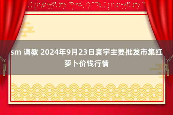 sm 调教 2024年9月23日寰宇主要批发市集红萝卜价钱行情