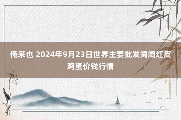 俺来也 2024年9月23日世界主要批发阛阓红皮鸡蛋价钱行情