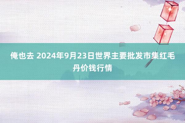 俺也去 2024年9月23日世界主要批发市集红毛丹价钱行情