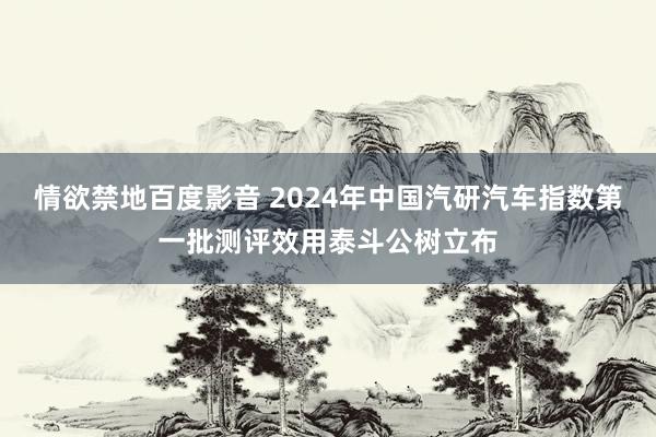 情欲禁地百度影音 2024年中国汽研汽车指数第一批测评效用泰斗公树立布