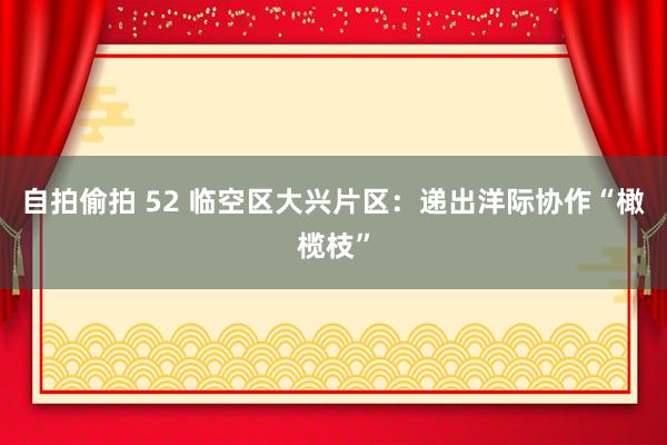 自拍偷拍 52 临空区大兴片区：递出洋际协作“橄榄枝”