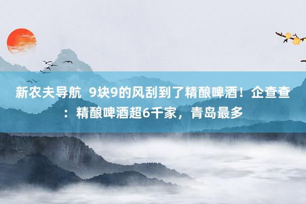 新农夫导航  9块9的风刮到了精酿啤酒！企查查：精酿啤酒超6千家，青岛最多