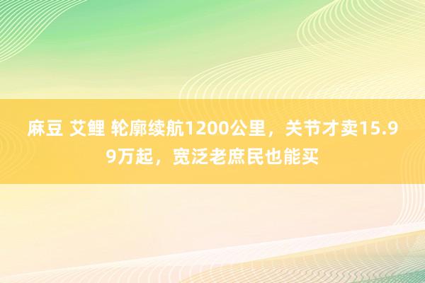 麻豆 艾鲤 轮廓续航1200公里，关节才卖15.99万起，宽泛老庶民也能买