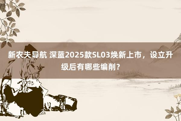 新农夫导航 深蓝2025款SL03焕新上市，设立升级后有哪些编削？