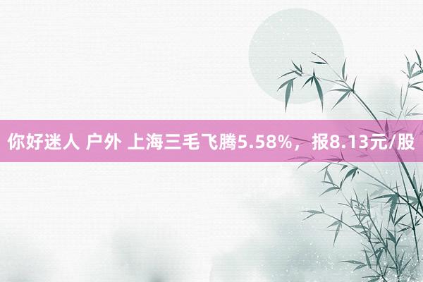 你好迷人 户外 上海三毛飞腾5.58%，报8.13元/股