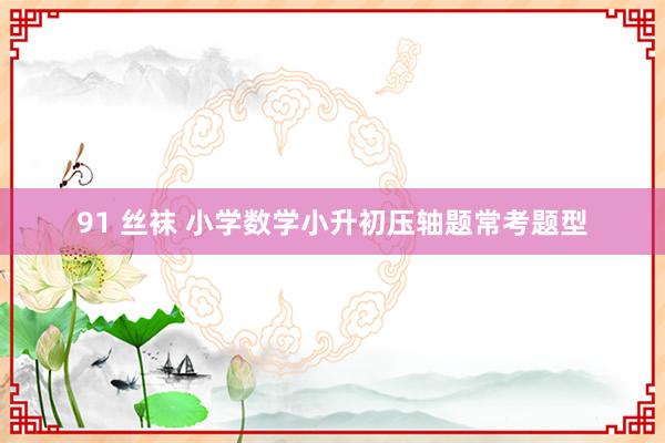 91 丝袜 小学数学小升初压轴题常考题型