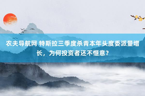 农夫导航网 特斯拉三季度杀青本年头度委派量增长，为何投资者还不惬意？