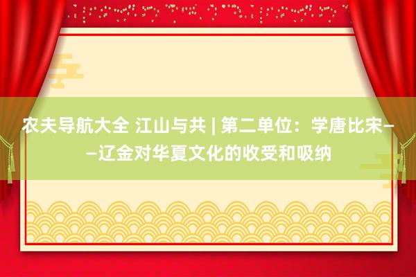 农夫导航大全 江山与共 | 第二单位：学唐比宋——辽金对华夏文化的收受和吸纳