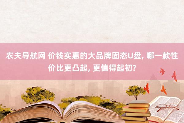 农夫导航网 价钱实惠的大品牌固态U盘， 哪一款性价比更凸起， 更值得起初?