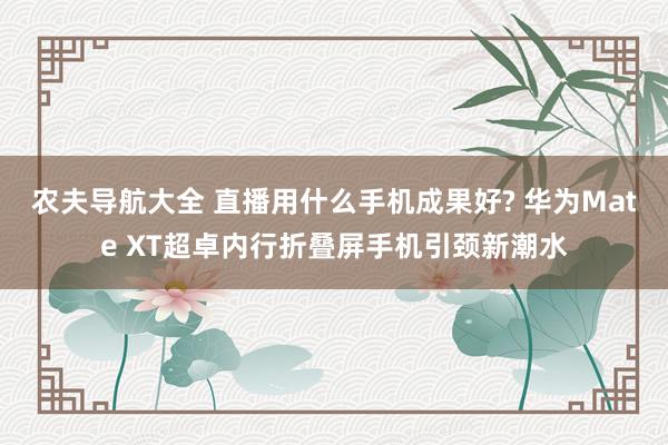 农夫导航大全 直播用什么手机成果好? 华为Mate XT超卓内行折叠屏手机引颈新潮水