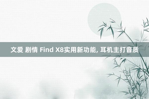 文爱 剧情 Find X8实用新功能， 耳机主打音质