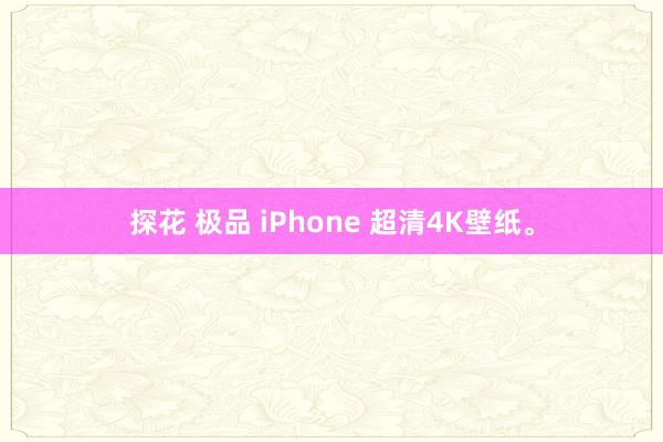 探花 极品 iPhone 超清4K壁纸。