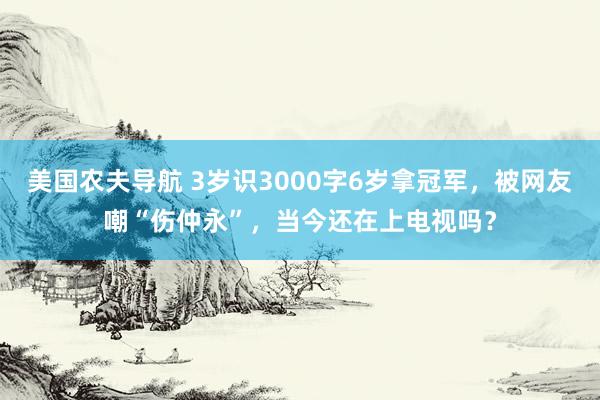 美国农夫导航 3岁识3000字6岁拿冠军，被网友嘲“伤仲永”，当今还在上电视吗？