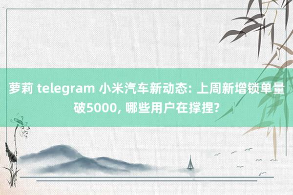 萝莉 telegram 小米汽车新动态: 上周新增锁单量破5000， 哪些用户在撑捏?