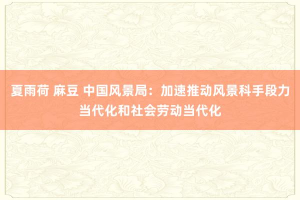 夏雨荷 麻豆 中国风景局：加速推动风景科手段力当代化和社会劳动当代化