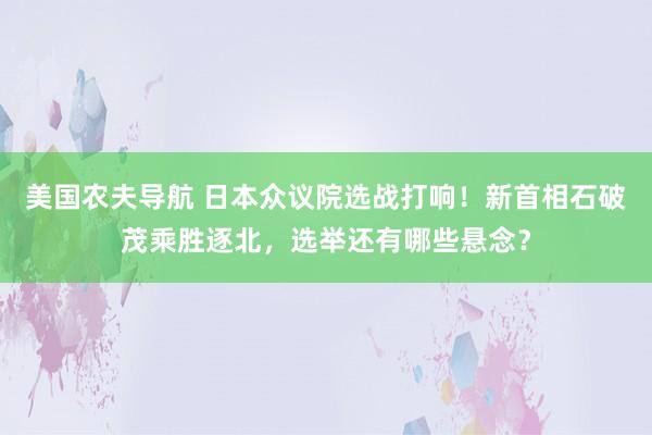 美国农夫导航 日本众议院选战打响！新首相石破茂乘胜逐北，选举还有哪些悬念？